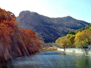 澳门二四六天天彩图库，木马免杀